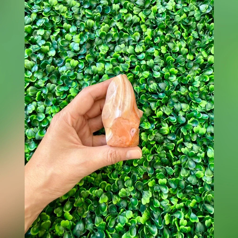 Carnelian flame - Picture 5 of 5